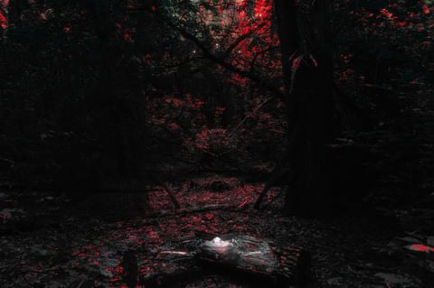 LIVE TODAY - Album Cover